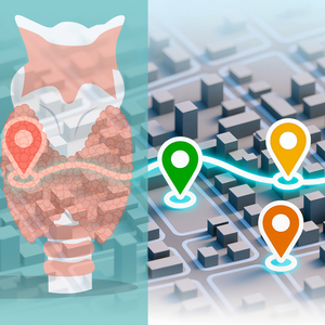 Thyroid+surgeon+near+me