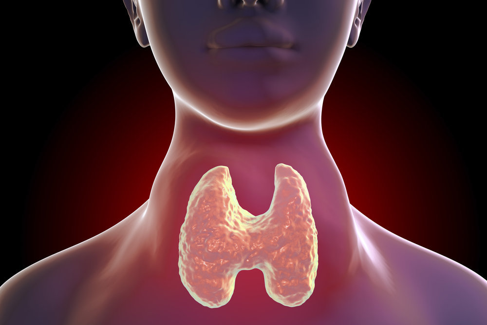 Most Important Things To Know About A Thyroid Goiter